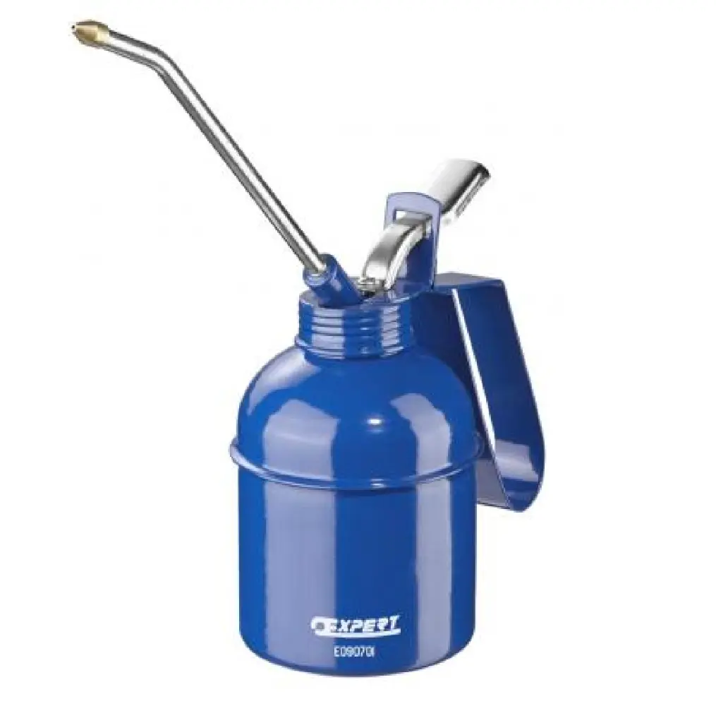 EXPERT E090701 OIL CAN 300ML